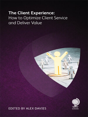 cover image of The Client Experience
